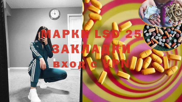 шишки Горнозаводск