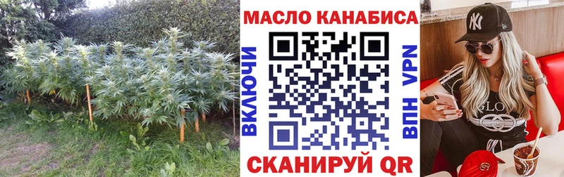 Дистиллят ТГК жижа MEGA онион Камышин как найти закладки