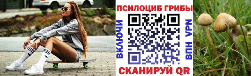 Псилоцибиновые грибы Cubensis  купить наркотики сайты  Камышин 